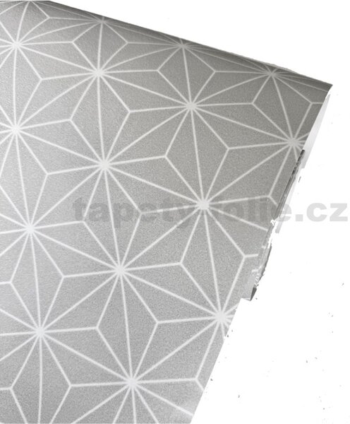 Vliesové tapety na zeď L48019, rozměr 10,05 m x 0,53 m, drobný geometrický vzor bílý na šedém podkladu, Ugépa