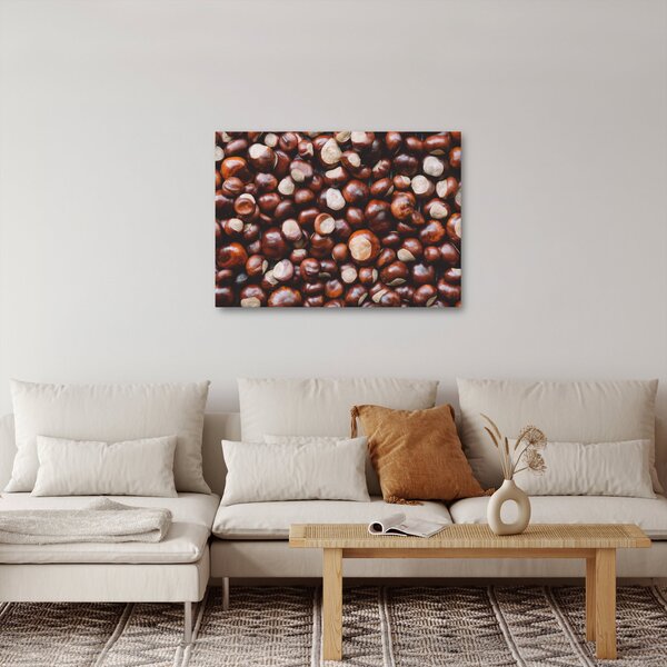 Obraz - Zralé kaštany (70x50 cm)