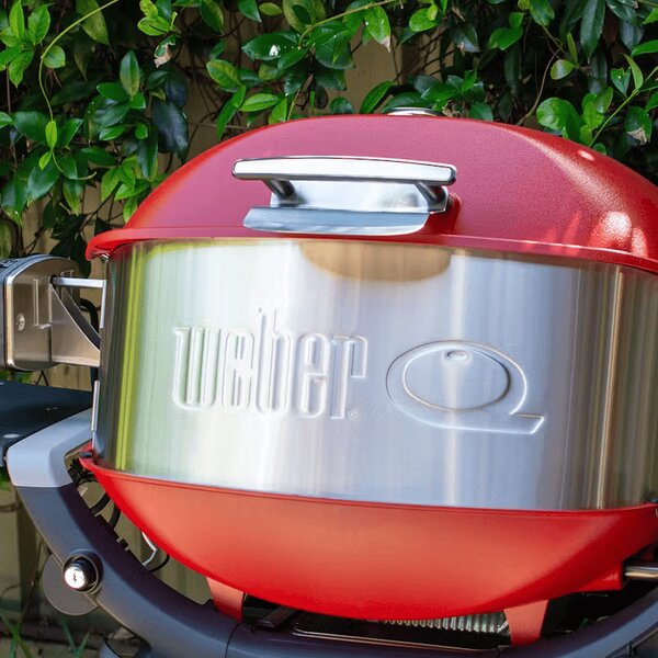 Weber Otáčecí špíz pro grily Q3000N