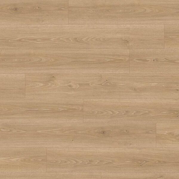 Egger Classic Aqua + 72h Dub Treviso EL2181