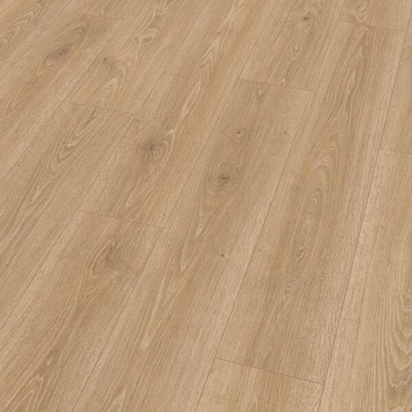 Egger Classic Aqua + 72h Dub Treviso EL2181