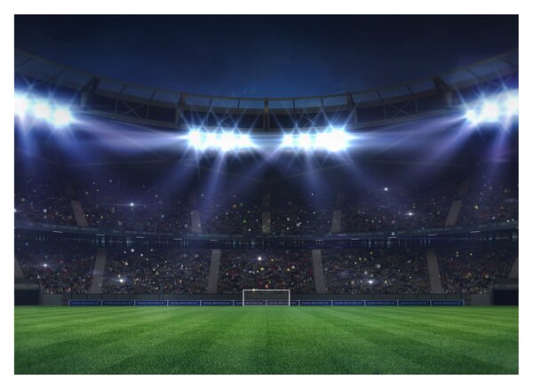 Obraz - Fotbalový stadion (70x50 cm)