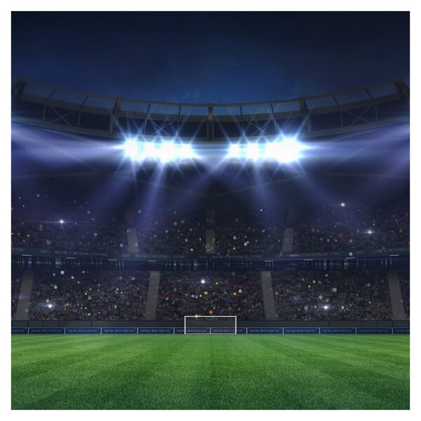 Obraz - Fotbalový stadion (30x30 cm)