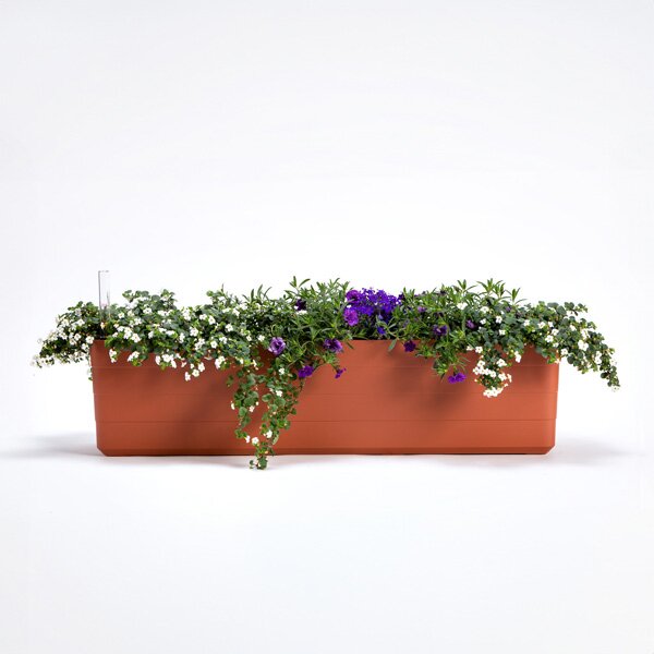 Samozavlažovací truhlík Berberis terakota/slonová kost 80 cm