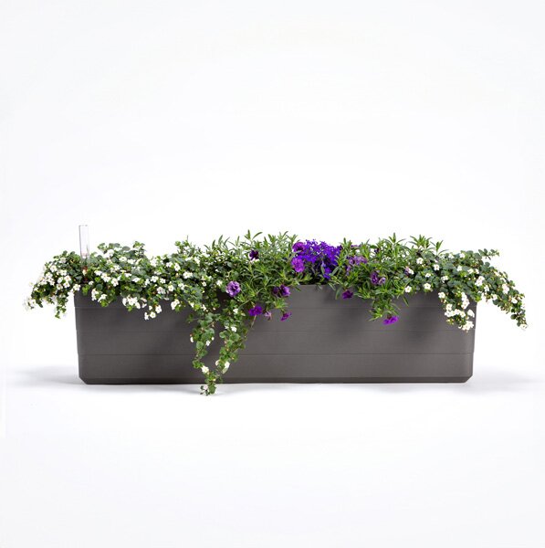 Samozavlažovací truhlík Berberis antracit/zelená 80 cm