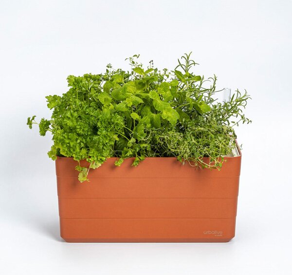 Samozavlažovací truhlík Berberis terakota/slonová kost 40 cm
