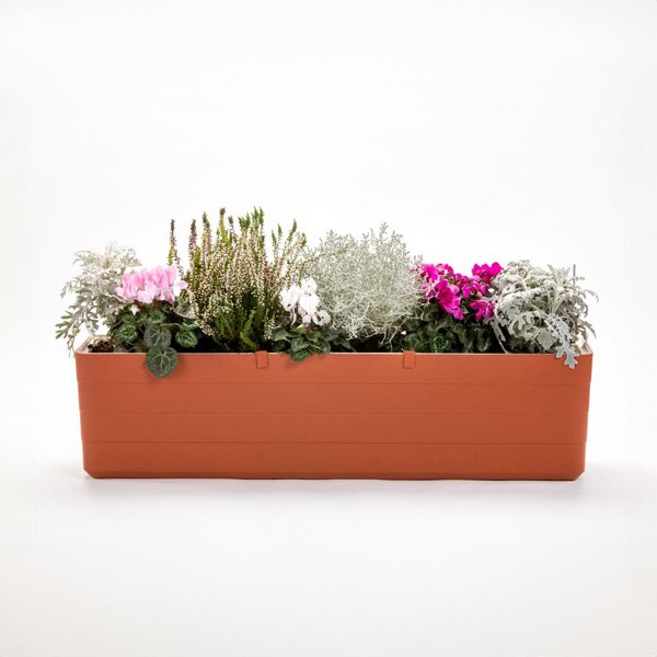 Samozavlažovací truhlík Berberis terakota/slonová kost 60 cm