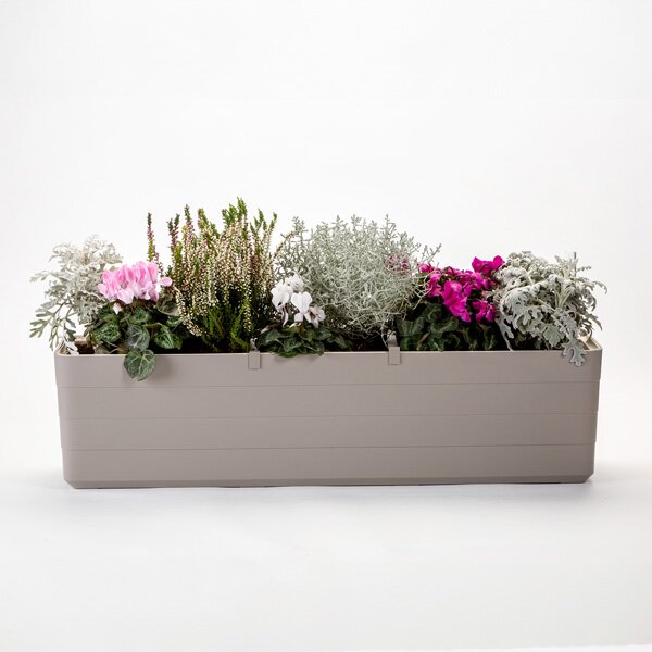 Samozavlažovací truhlík Berberis taupe/slonová kost 80 cm