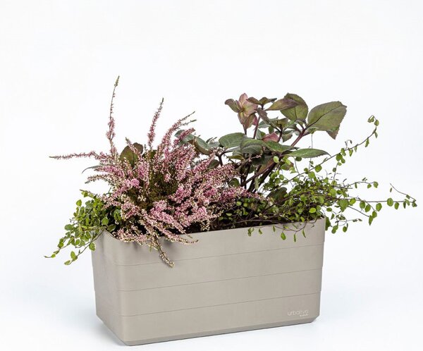 Samozavlažovací truhlík Berberis taupe/slonová kost 40 cm