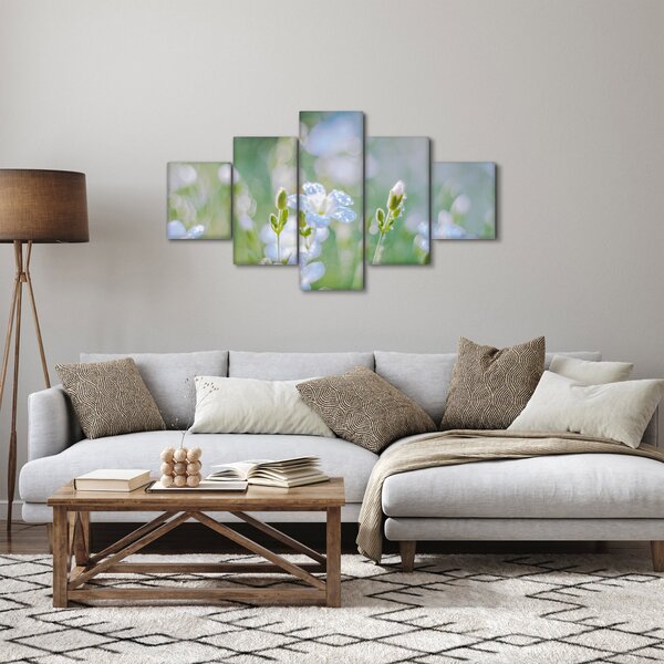 Obraz - Jemné květy (125x70 cm)