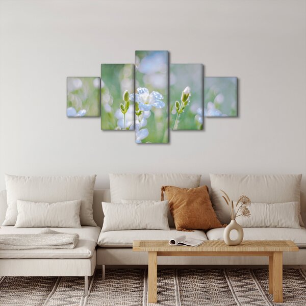 Obraz - Jemné květy (125x70 cm)