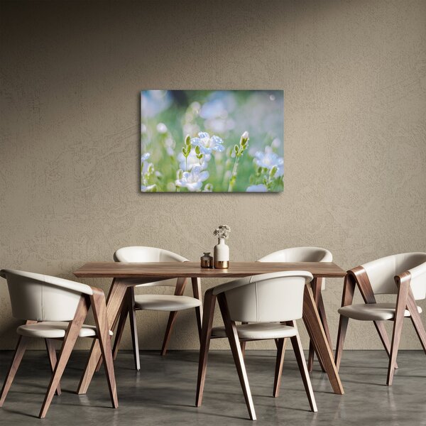 Obraz - Jemné květy (70x50 cm)