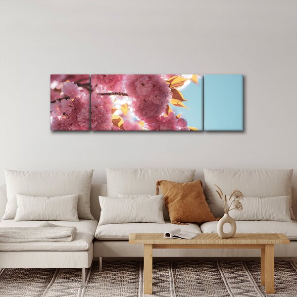 Obraz - Třešňový květ (170x50 cm)