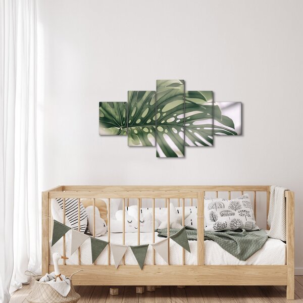 Obraz - List monstery (125x70 cm)