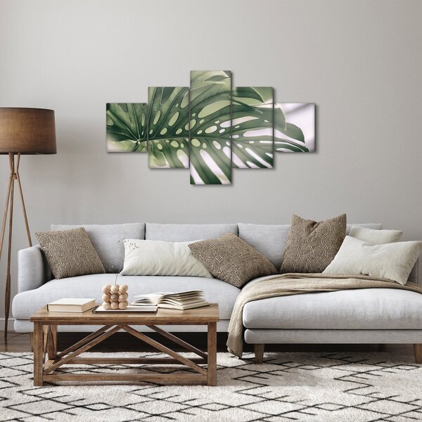 Obraz - List monstery (125x70 cm)