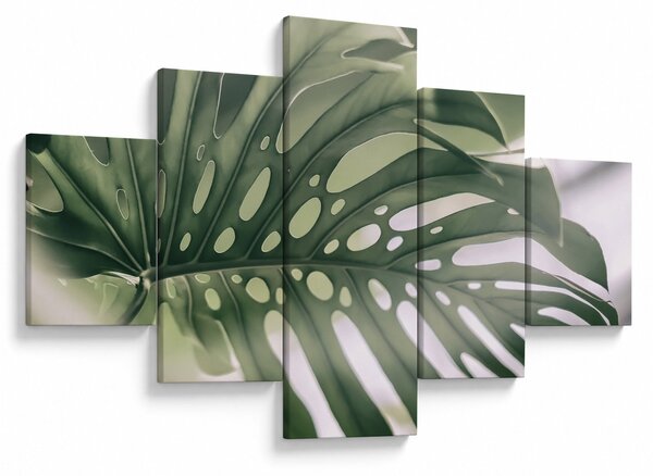 Obraz - List monstery (125x70 cm)