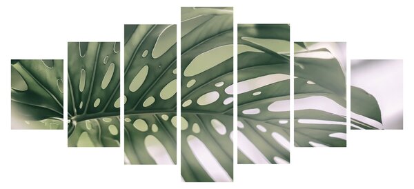 Obraz - List monstery (210x100 cm)
