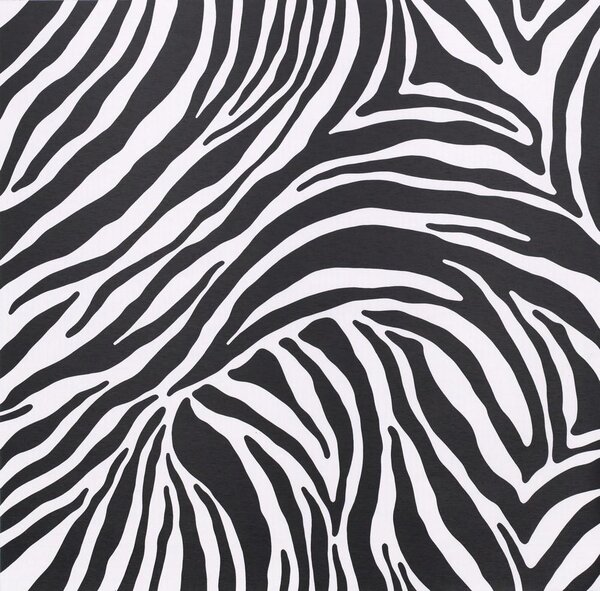 Samolepící fólie zebra 45 cm x 15 m GEKKOFIX 10133 samolepící tapety