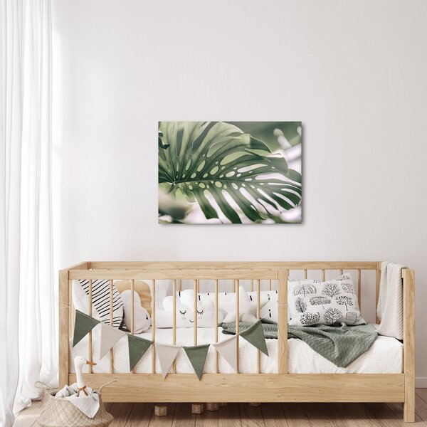 Obraz - List monstery (70x50 cm)