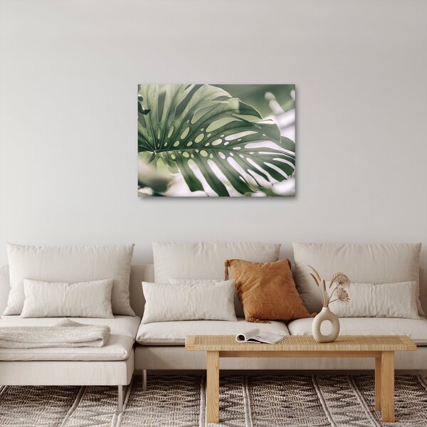 Obraz - List monstery (70x50 cm)