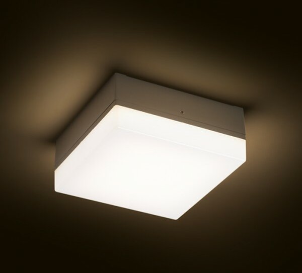 RED - DESIGN RENDL RENDL SPECTACLE přisazená stříbrnošedá 230V LED 5W IP54 3000K R11968