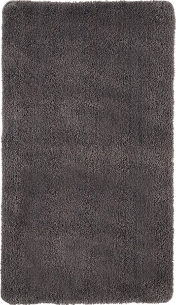 KOUPELNOVÁ PŘEDLOŽKA, 60/90 cm Esposa - Koupelnové předložky