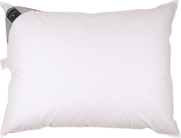 TŘÍKOMOROVÝ POLŠTÁŘ, 40/80 cm Billerbeck - Polštáře pod hlavu
