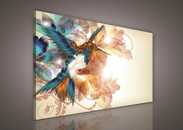 Obraz na plátně kolibřík 260O1, 100 x 75 cm, IMPOL TRADE