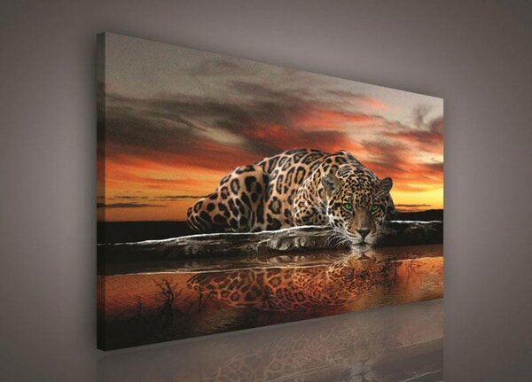 Obraz na plátně jaguár 101O1, 100 x 75 cm, IMPOL TRADE