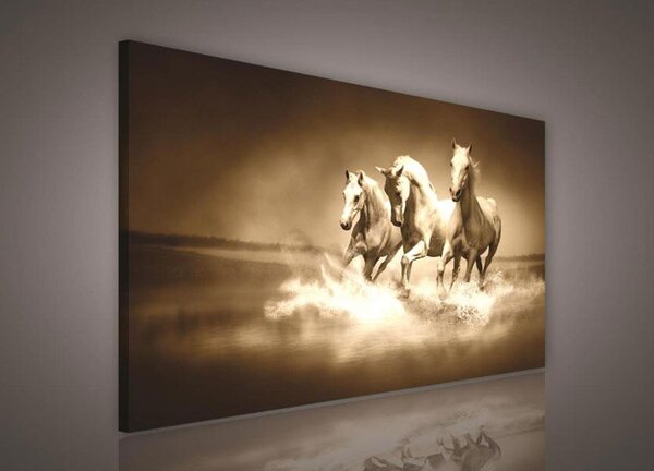 Obraz na plátně stádo koní 191O1, 100 x 75 cm, IMPOL TRADE