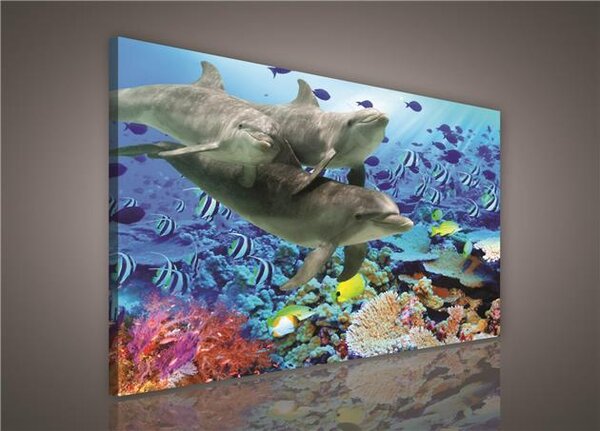 Obraz na plátně delfíni 116O1, 100 x 75 cm, IMPOL TRADE