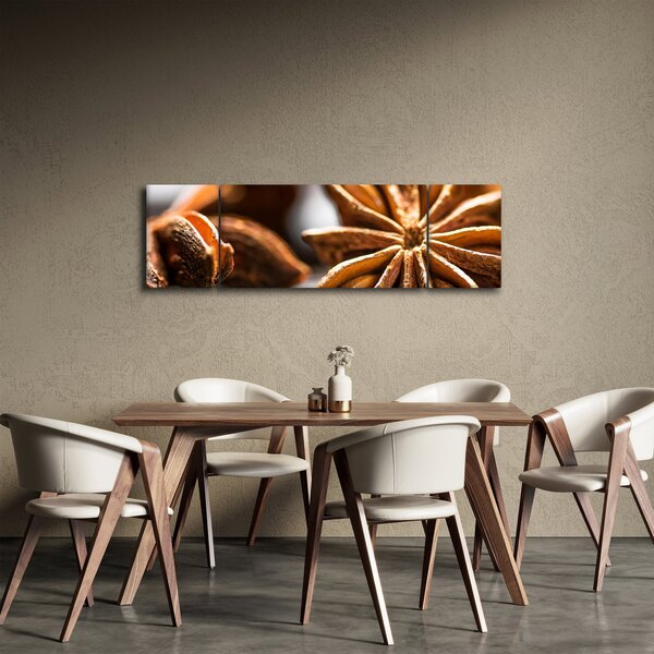 Obraz - Anýz (170x50 cm)