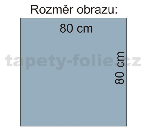 Obraz na plátně wellness orchidej 80 x 80 cm