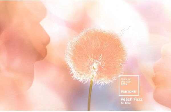 Oranžový keramický hrnek 375 ml Peach Fuzz 13-1023 – Pantone