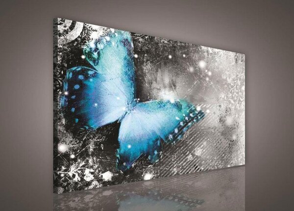 Obraz na plátně motýl 218O1, 100 x 75 cm, IMPOL TRADE