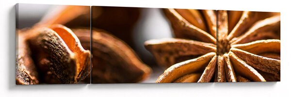 Obraz - Anýz (170x50 cm)