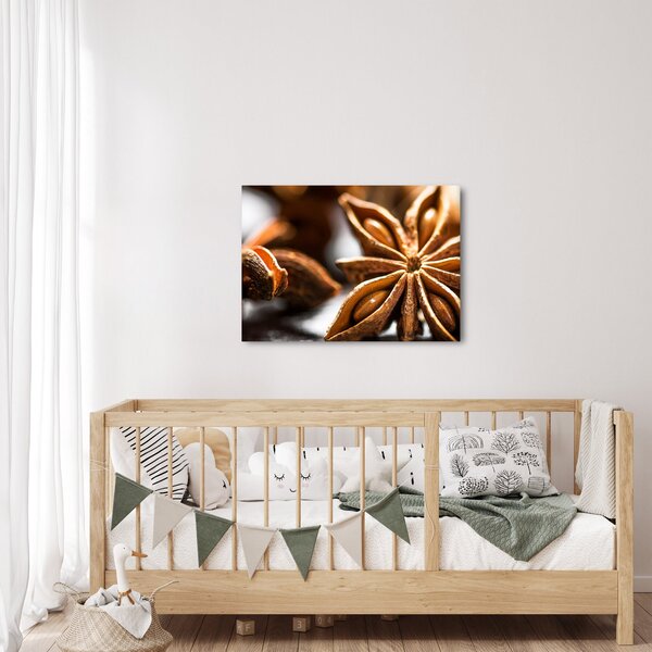 Obraz - Anýz (70x50 cm)
