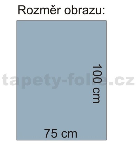 Obraz na plátně A la Gustav Klimt Polibek 144O1, 75 x 100 cm, IMPOL TRADE