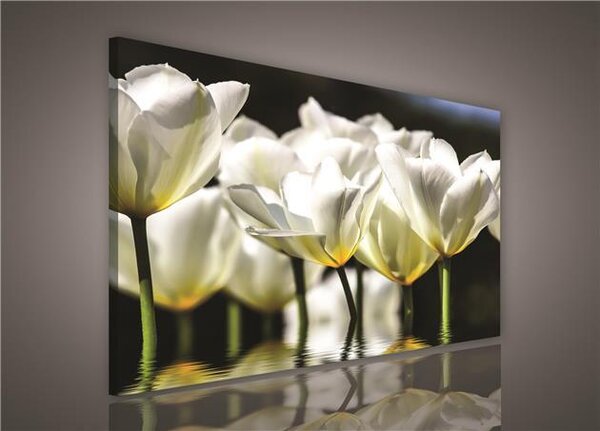 Obraz na plátně bílé květy 585O1, 100 x 75 cm, IMPOL TRADE