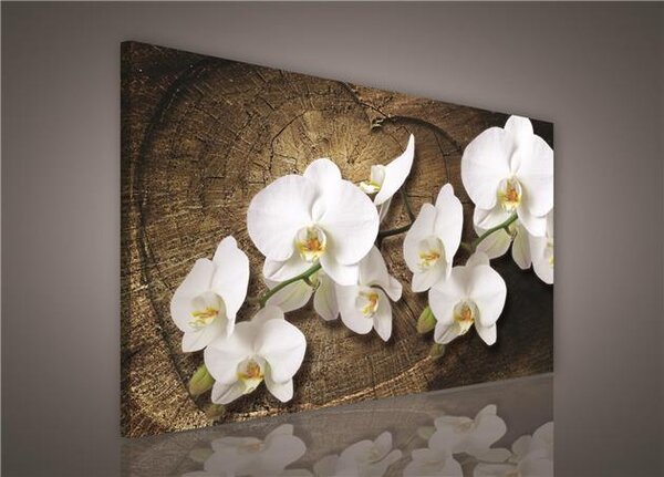 Obraz na plátně bílá orchidej na dřevěném srdci 417O1, 100 x 75 cm, IMPOL TRADE