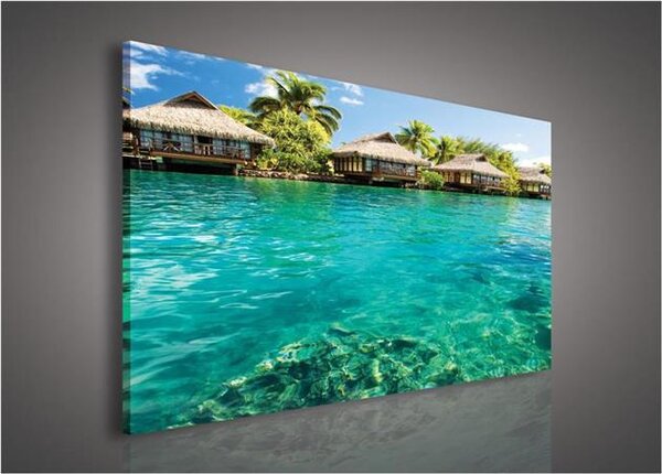Obraz na plátně Maledivy 161O1, 100 x 75 cm, IMPOL TRADE