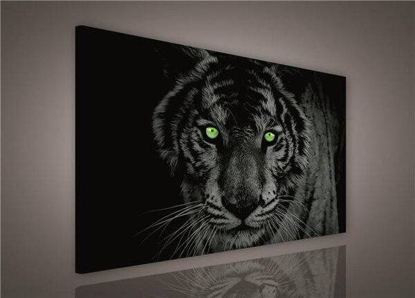Obraz na plátně tygr zelené oči 130BO1, 100 x 75 cm, IMPOL TRADE