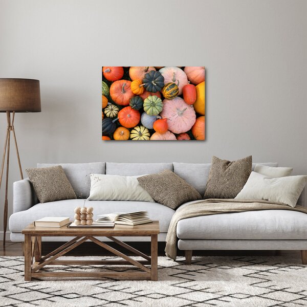 Obraz - Dýně (70x50 cm)