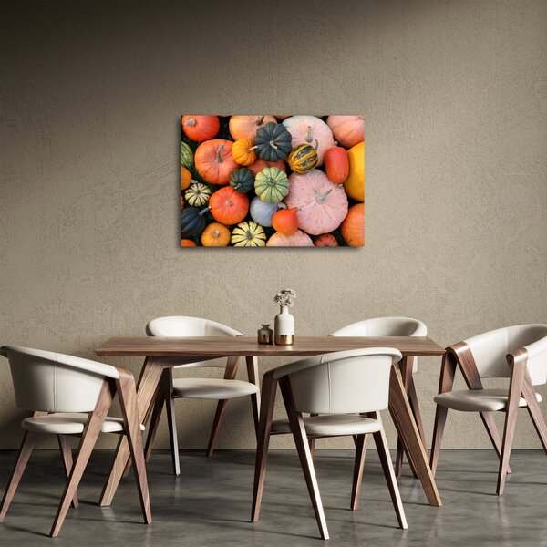 Obraz - Dýně (70x50 cm)