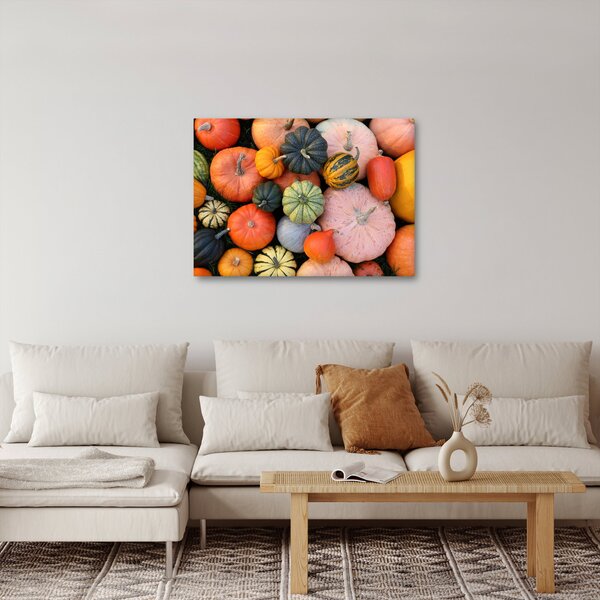 Obraz - Dýně (70x50 cm)