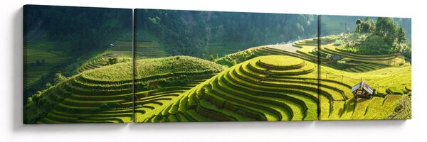 Obraz - Koncert rýžových teras (170x50 cm)