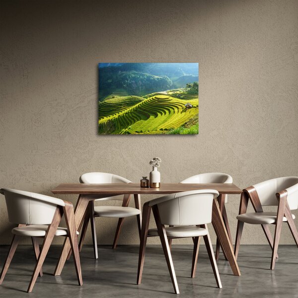 Obraz - Koncert rýžových teras (70x50 cm)