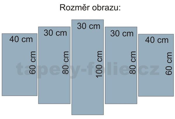 Obraz na plátně orchidej 170 x 100 cm