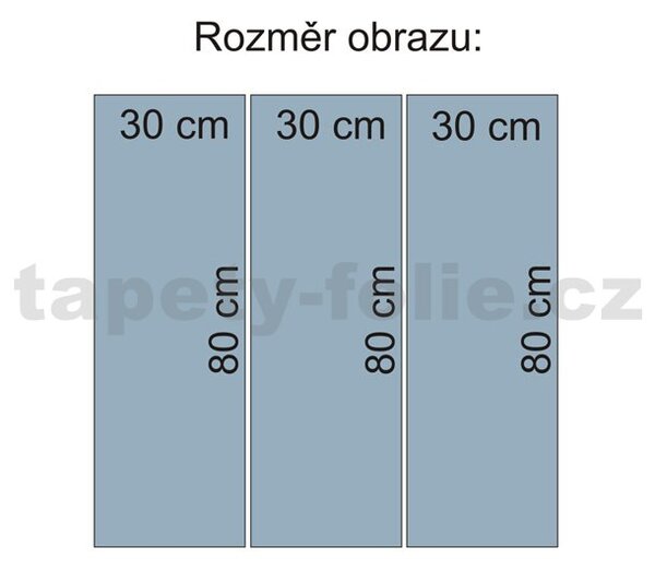 Obraz na plátně tygři 90 x 80 cm