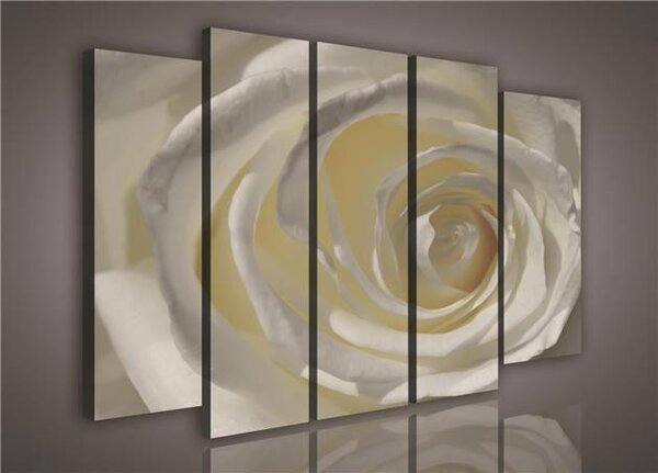 Obraz na plátně růže bílá 1073S12, rozměr 150 x 100 cm, IMPOL TRADE